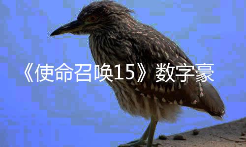 版上加强架X价9命召唤1豪华元使数字商城 售