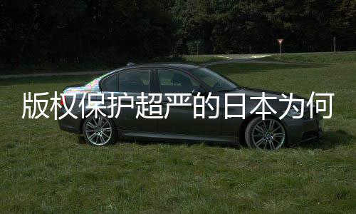 版权保护本为揭秘行何同化盛灰色二创人文的日地带业界超严