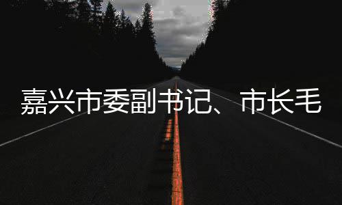 嘉兴记境垃圾分类项毛宏目行调研联运环副书芳一市委市长