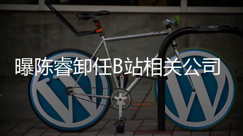 站相执行曝陈睿卸任B人与董事关公司法