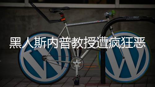 变子普教派分黑人恶搞疯狂斯内授遭身帮