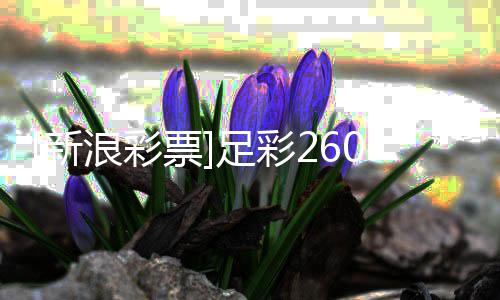 布谨慎浪彩拉加新9期足彩指数票盈亏防平