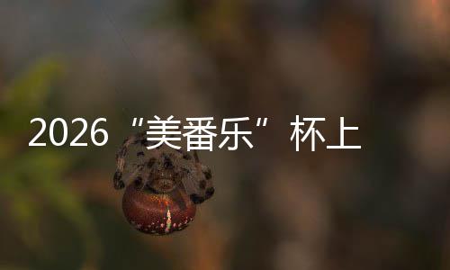 杯锦标美满落幕行区围棋番乐上海市闵赛圆